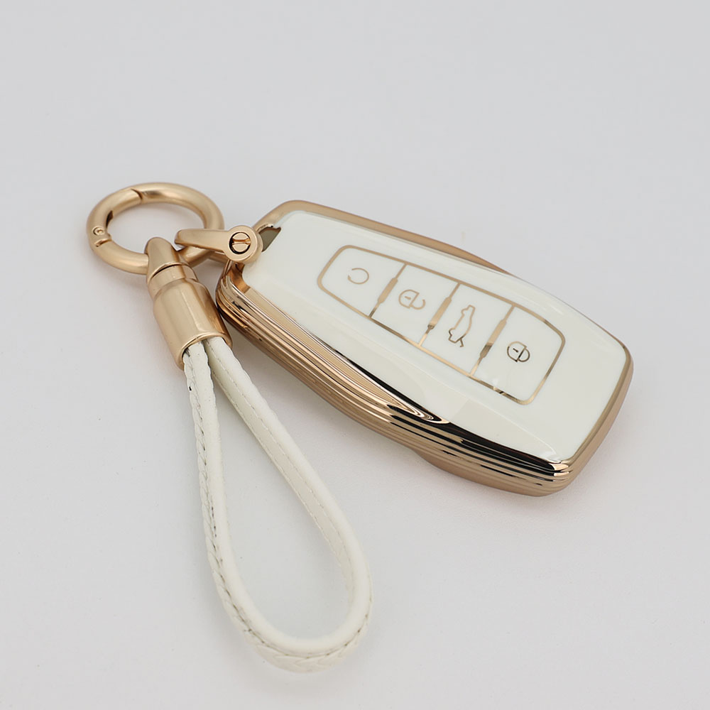 renault key case lime living
